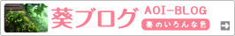 葵ブログ